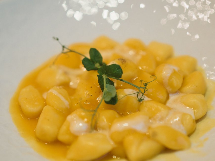 South Tyrolean specialities at our restaurant near Sterzing Pasta with creamy sauce and green garnish leaf on a white plate