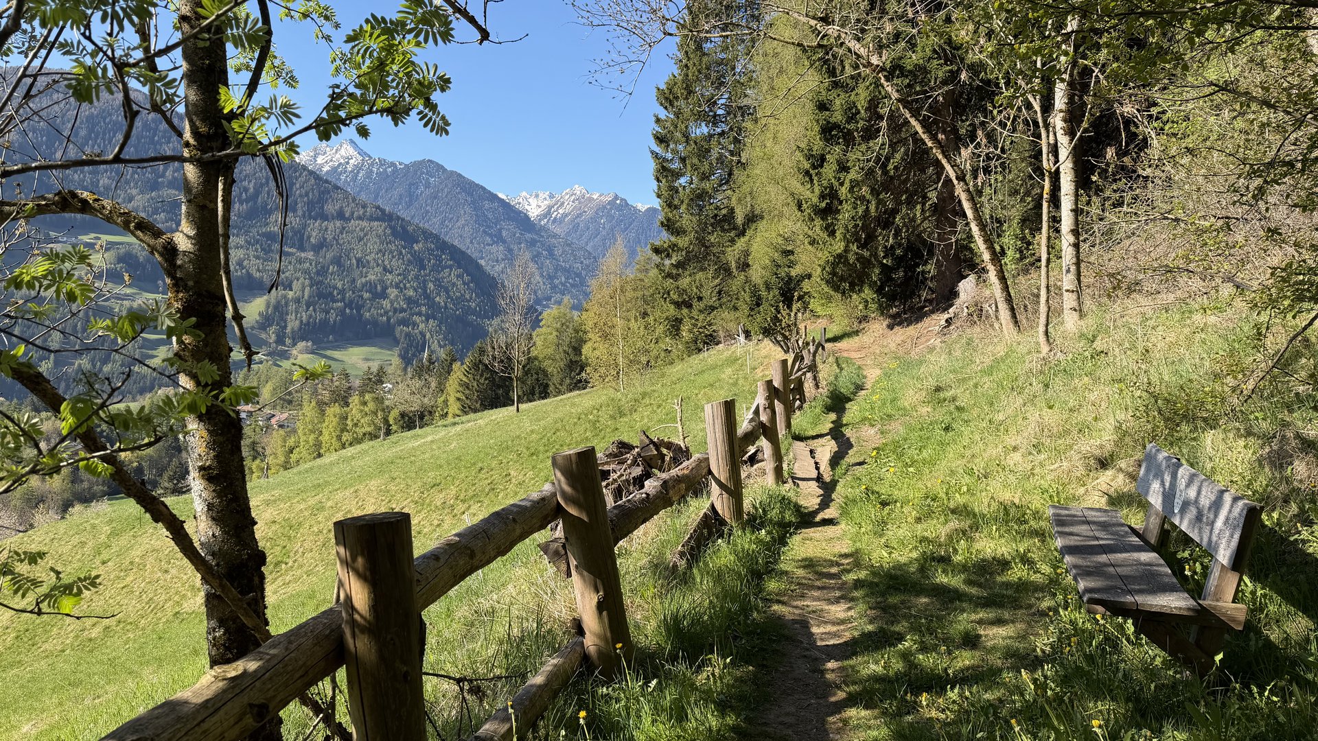 Köstlich und erlebnisreich Wanderweg mit Holzzaun und Bank im grünen Tal vor schneebedeckten Bergen